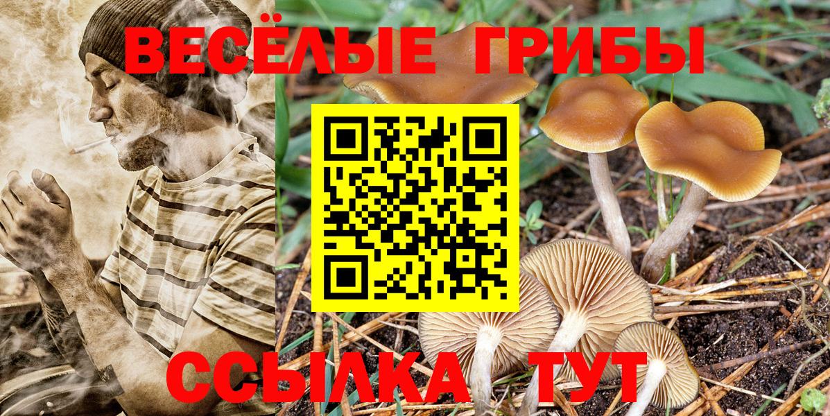 Галлюциногенные грибы мицелий  Вход с VPN  как найти   Торжок 